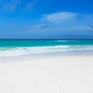 https://calypso-3-807.panamacity-beachhotels.com